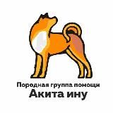 Помощь акита ину