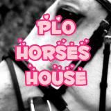 plo.horses