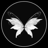 Голод | Рпп | Похудение - переходник