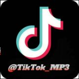 🎶 TikTok 🎧