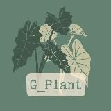 G_Plant🪴