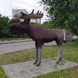 Район Метрогородок