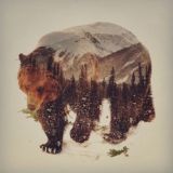 Вахта-Работа