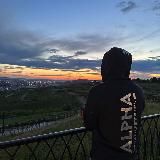 питупишник