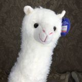 MADINADI SHOP🛍️ Chat