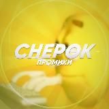 Chepok прогнозы