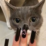 крысиные земли