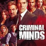 CRIMINAL MINDS SERIES