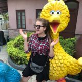 Канал Маши Ша