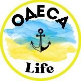 Fox_info🦊🦊🦊