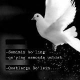 ᴴᴬʸᴼᵀᴵᴹˢᴬᴺ🕊❤