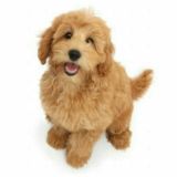 Telegram Bots Testing