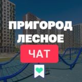 ️ Чат Пригород Лесное