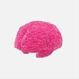 безнадежное познание