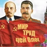 чей блог?