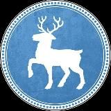 Нижний Новгород - Новости (дайджест)