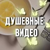 Душевные видео 🦋 Видео для сторис