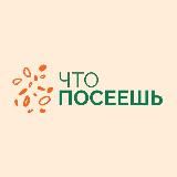 ЧТОПОСЕЕШЬ.ORG