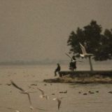 الرايـہ'ة البيضـاء 🕊.