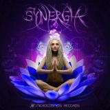 DJ Synergia (Microcosmos Records)
