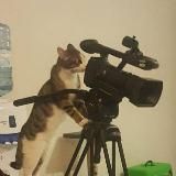 NEWS.ru | Фото и видео