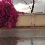 🕋🕌Ollohga oshiq qalblar🕌🕋