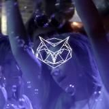 Vibe Танцевальный ресторан | караоке | бар 🪩