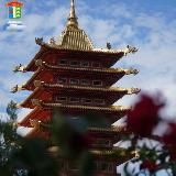 Город Элиста