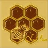 СПОРТ | ЧАТ [Golden ODDS]