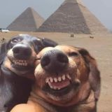 Обои для ❤️