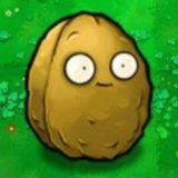 猎奇小屋 🔻 奇趣百科 导航