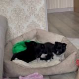 Доброе Сердце Вурнары