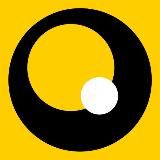 YELLOW, BLACK AND WHITE