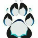 Old Vancoufur SFW - Please join New Group