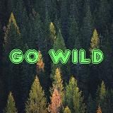 go_wild_shopping