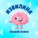 Извилина | Познай новое 🧠