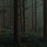 мое утешение