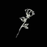 Biz bilan hayotga o'zgacha nazar tashlang.