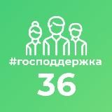 Господдержка36.рф