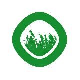 Первый Питомник – все о мискантусе