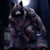 Werewolf Aceevi