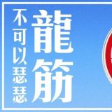 镇江伊蔓抓龙筋