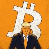 Donald Crypto | Crypto Invest