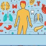 Нормальная и патологическая анатомия