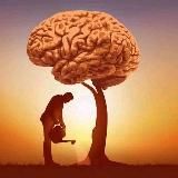 Learn Something New 🧠