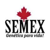 SEXMEX ORIGINALS VIDEOS