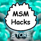 MSM Hacks Store