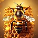 Мёд | Раздачи и акции WB Ozon