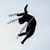 ТВОИ КОШМАРЫ