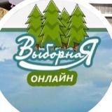 Выборная онлайн Новосибирск